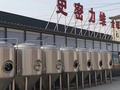 武威精酿啤酒设备厂—如何判断精酿啤酒设备的密封件需要更换？